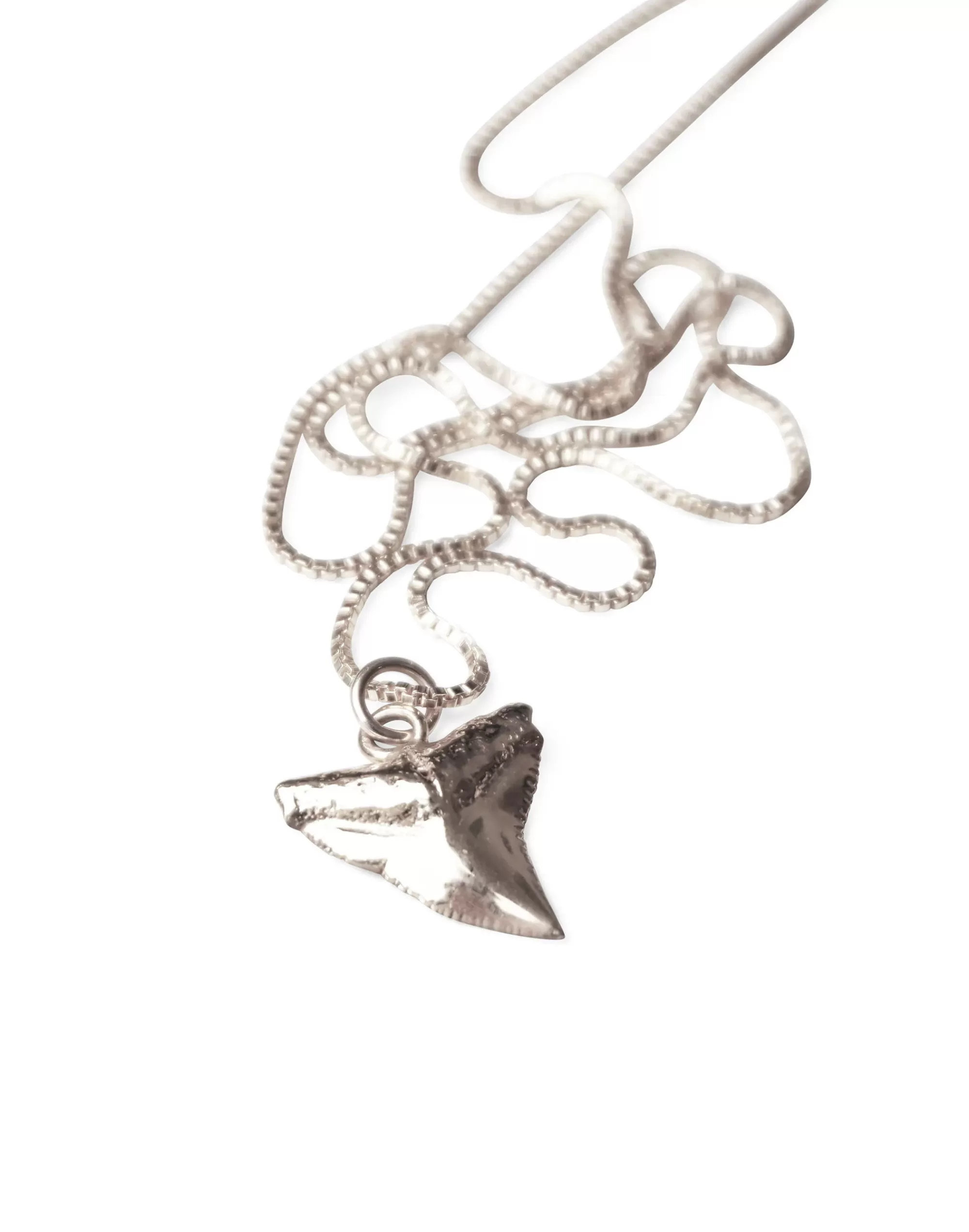 Madewell Jewelry>Charlotte Cauwe Studio Shark Tooth Necklace In Sterling Silver