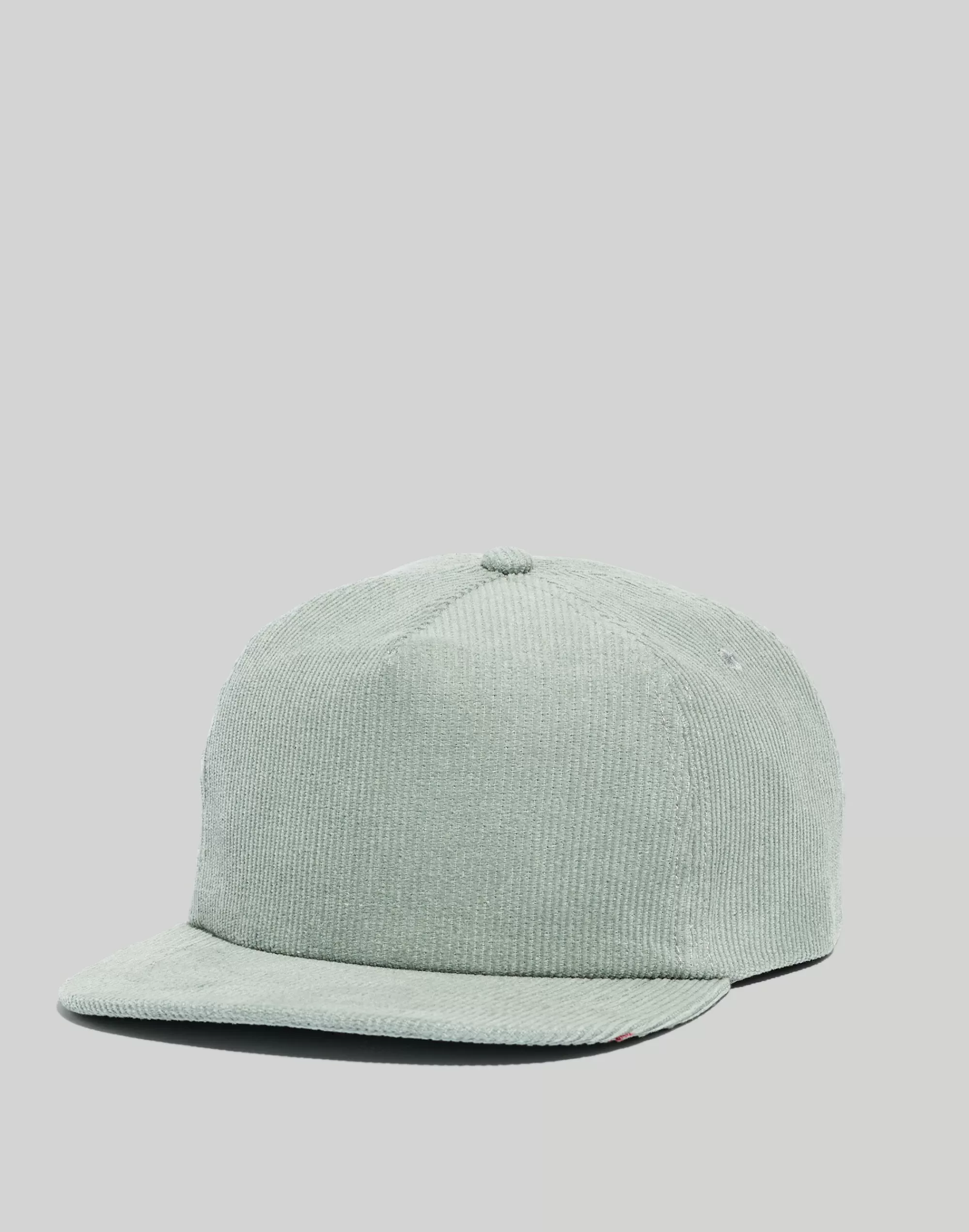 Madewell Hats>Corduroy Trucker Hat Frosted Cement