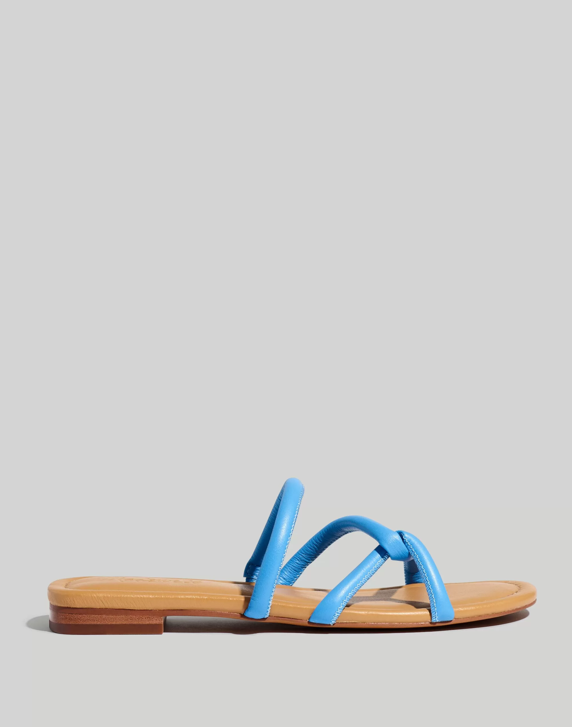 Madewell Sandals>The Amel Slide Sandal Ornamental Blue